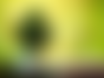 Tabipler Birliği'nden plastik kirliliğine karşı uyarı: Doğaya ve sağlığa sahip çık