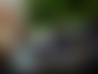 Lefke Ceviz Festivali Bu Pazar “Bayramda Lefke” Temasıyla Başlıyor