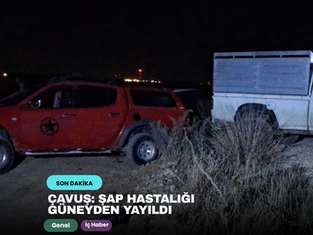 Çavuş: Şap Hastalığı Güneyden Yayıldı