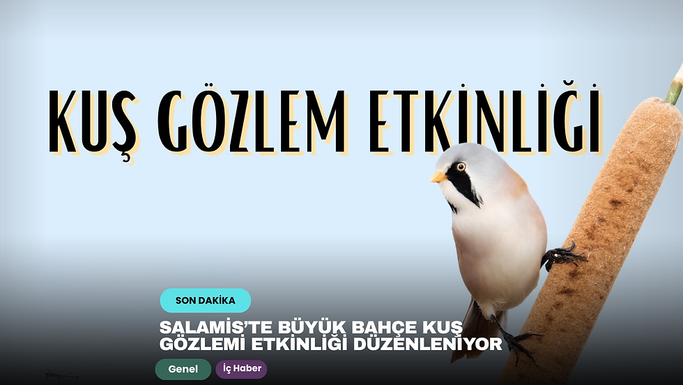 Salamis’te Büyük Bahçe Kuş Gözlemi Etkinliği Düzenleniyor