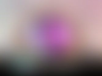 MAKAMER’de yeni dönem: Pelin Üretici başkan seçildi