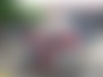 Coca-Cola Europacific Integrated Rider Dome to Provide a Safe Working Environment for Employees