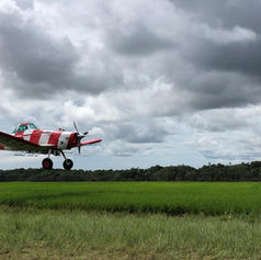 Fumivilla S.A (10).jpg