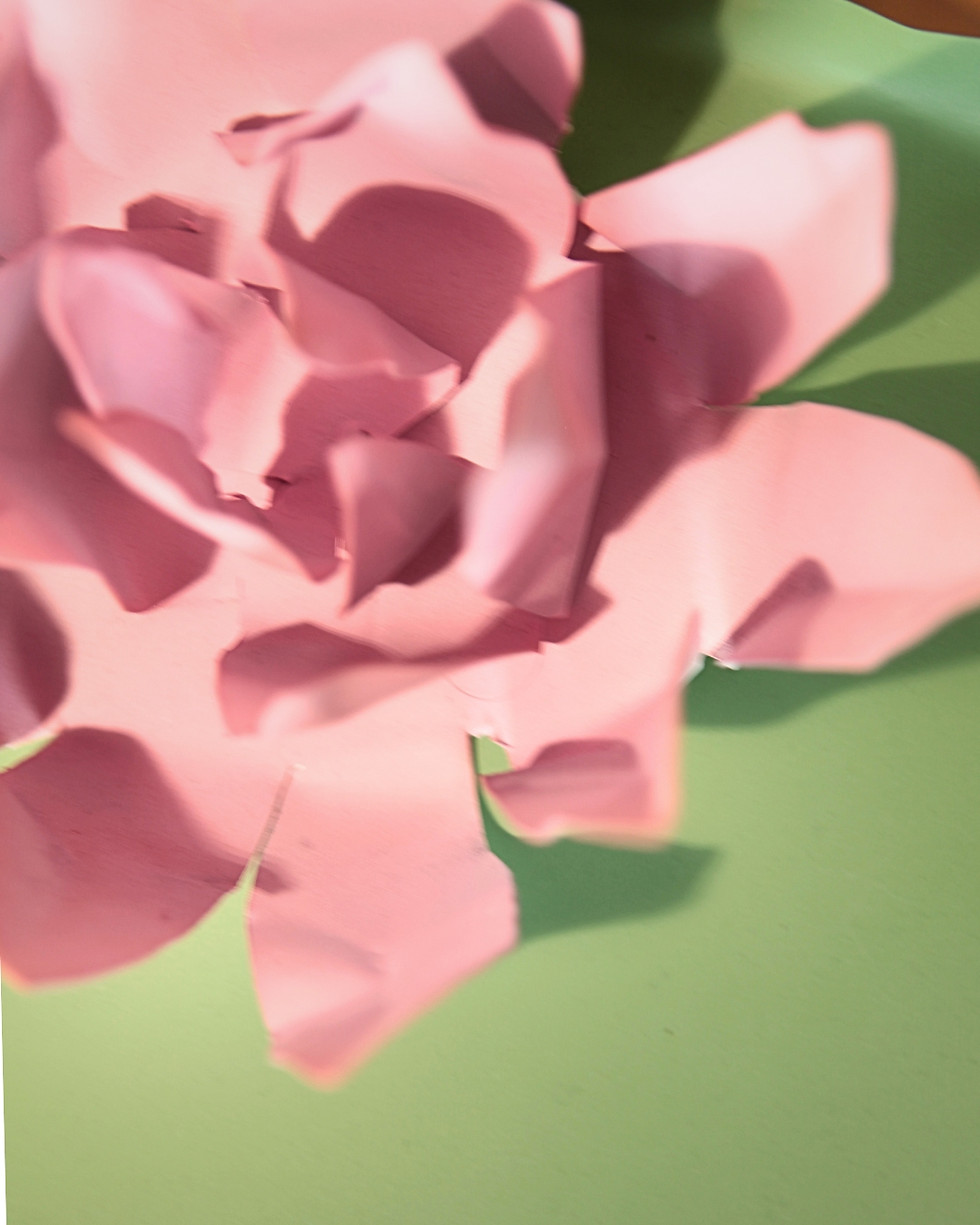 Thumbnail: water lily table