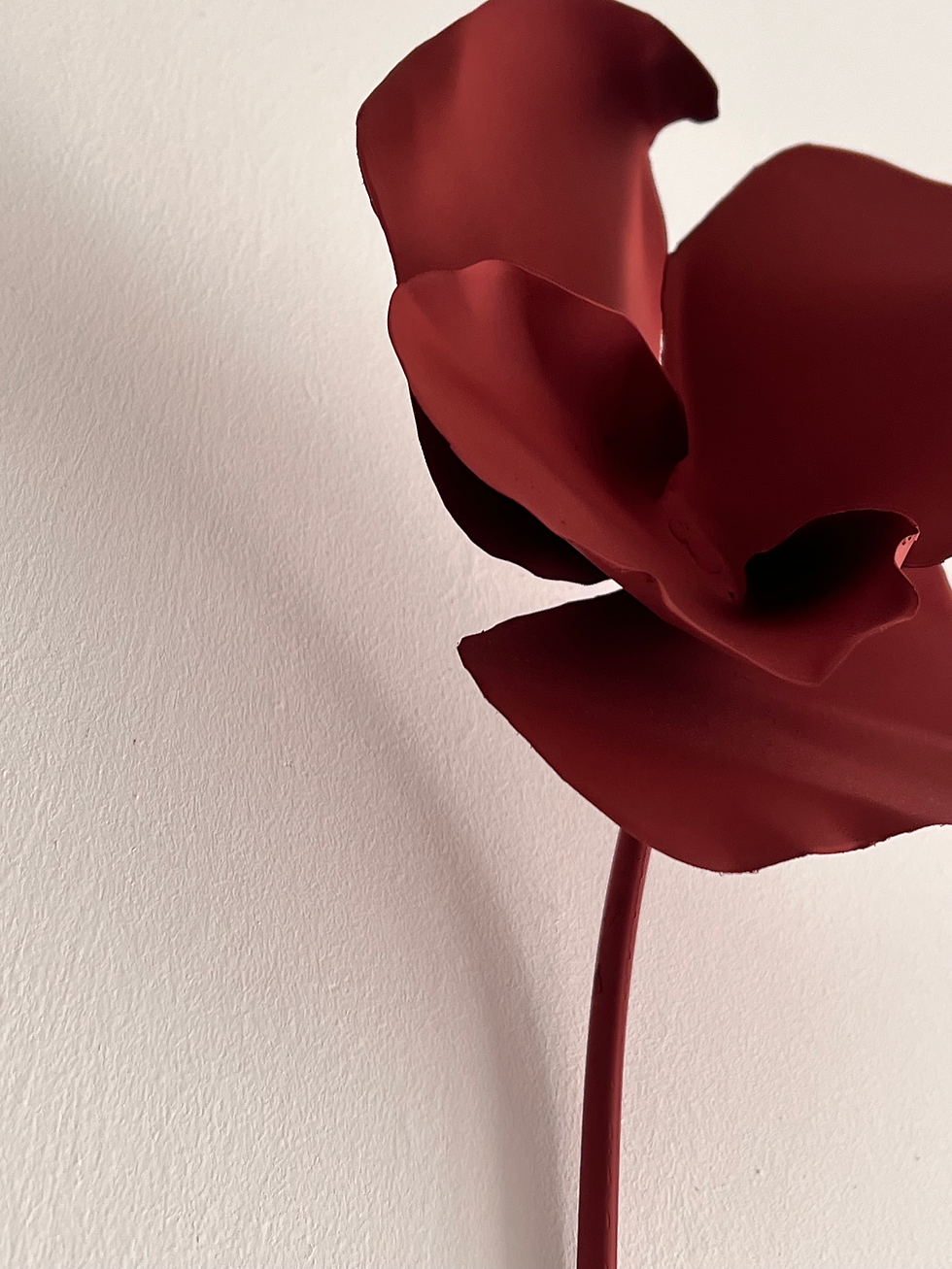 Thumbnail: red poppy