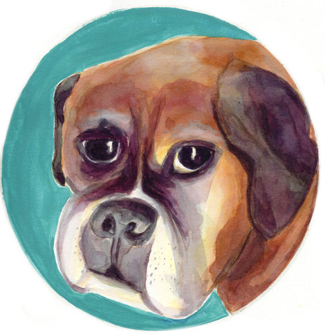 Pet Portrait