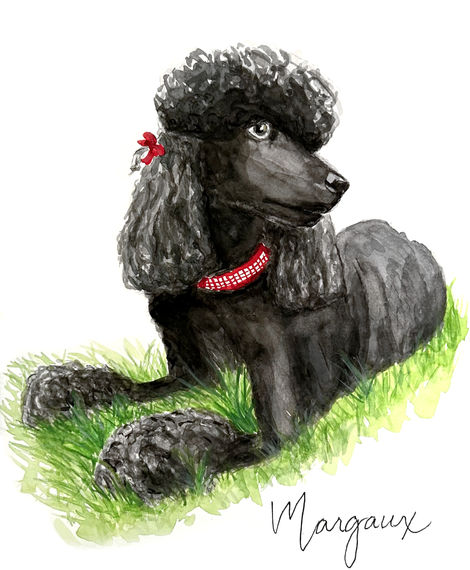 Pet Portrait