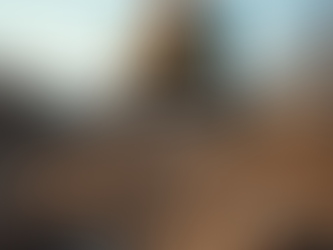 Maximizing Efficiency in Estate Excavation Services