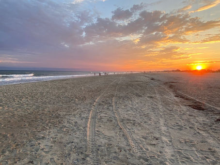 7/25/24- See the Light