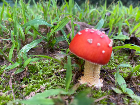 10/8/24- Comfort Zone