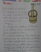 IMG_3670.jpg