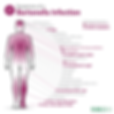 Image of symptom chart of Bartonella Infection