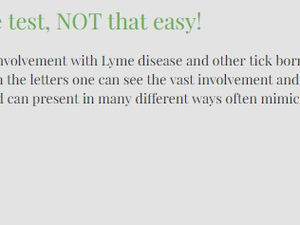 What Everyone Should Know about Lyme