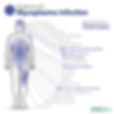 Image of symptom chart of Mycoplasma Infection