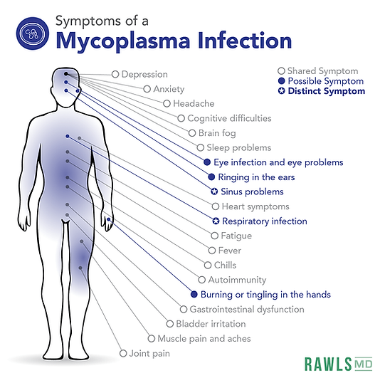 Image of symptom chart of Mycoplasma Infection