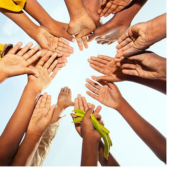 Untitled design (5)_edited.jpg