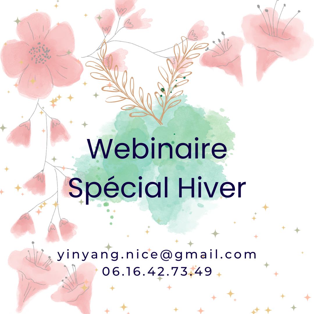 Webinaire Hiver Energie