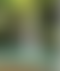 Therapeutic Mountain Resort in Negros Island