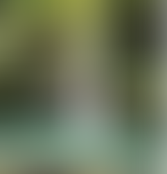 Therapeutic Mountain Resort in Negros Island