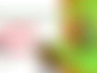 Web série - O poder da embalagem