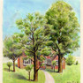 Home with beautiful trees