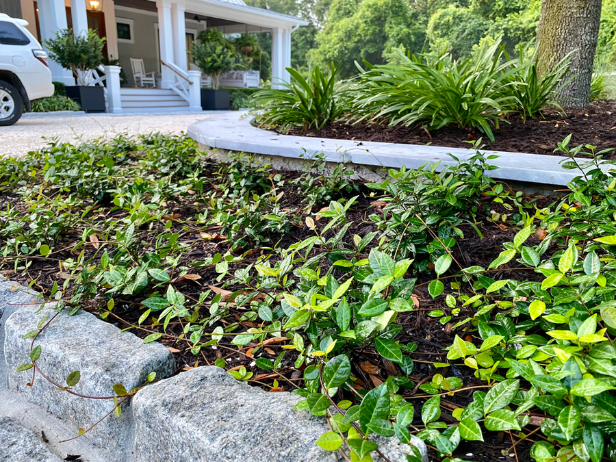 Levy's Landscaping Wilmington NC