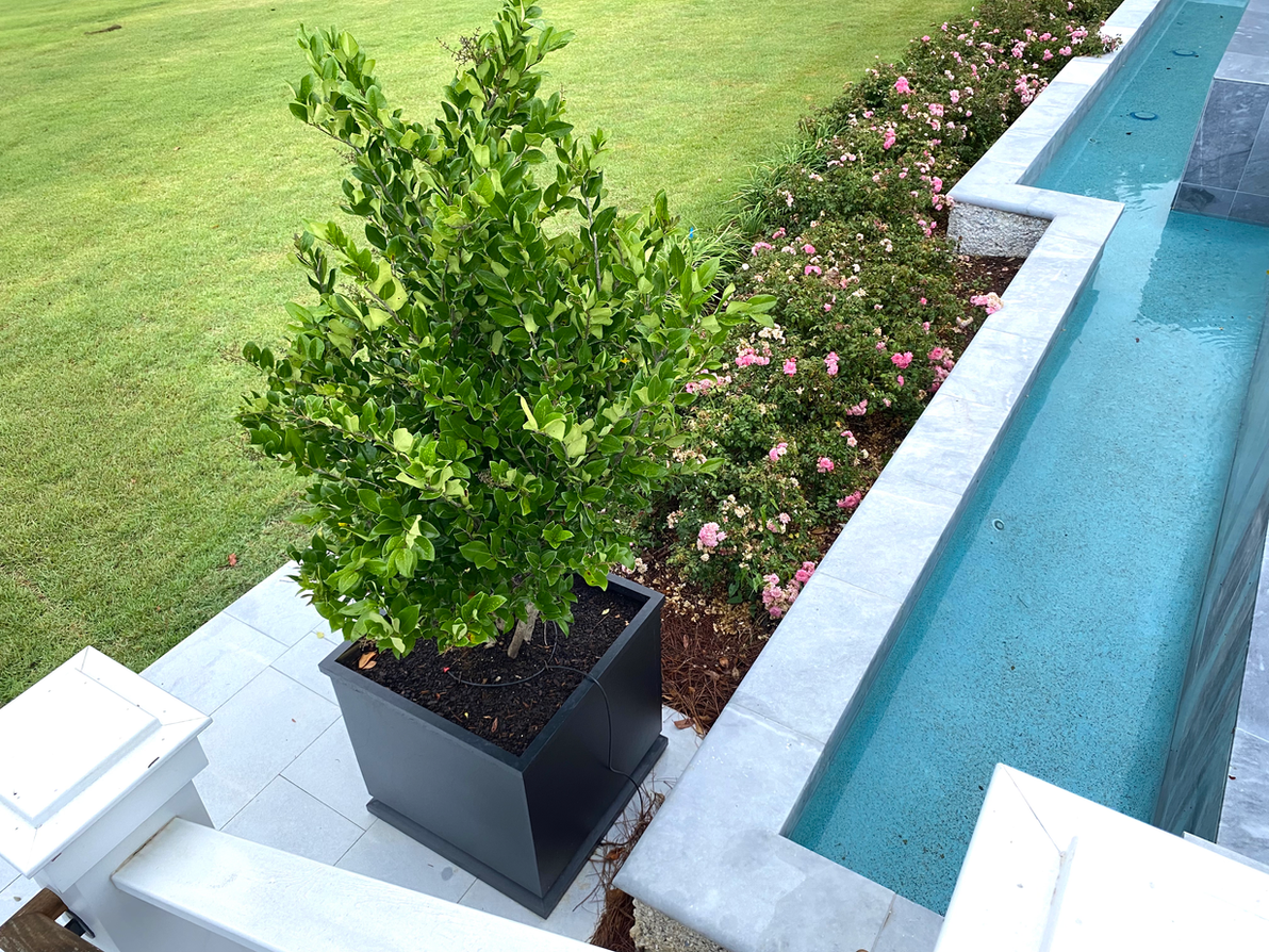 Levy's Landscaping Wilmington NC