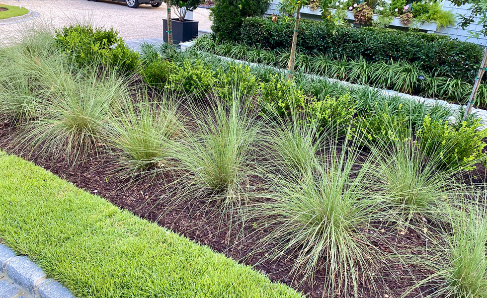 Drew Holmgren Landscape Design