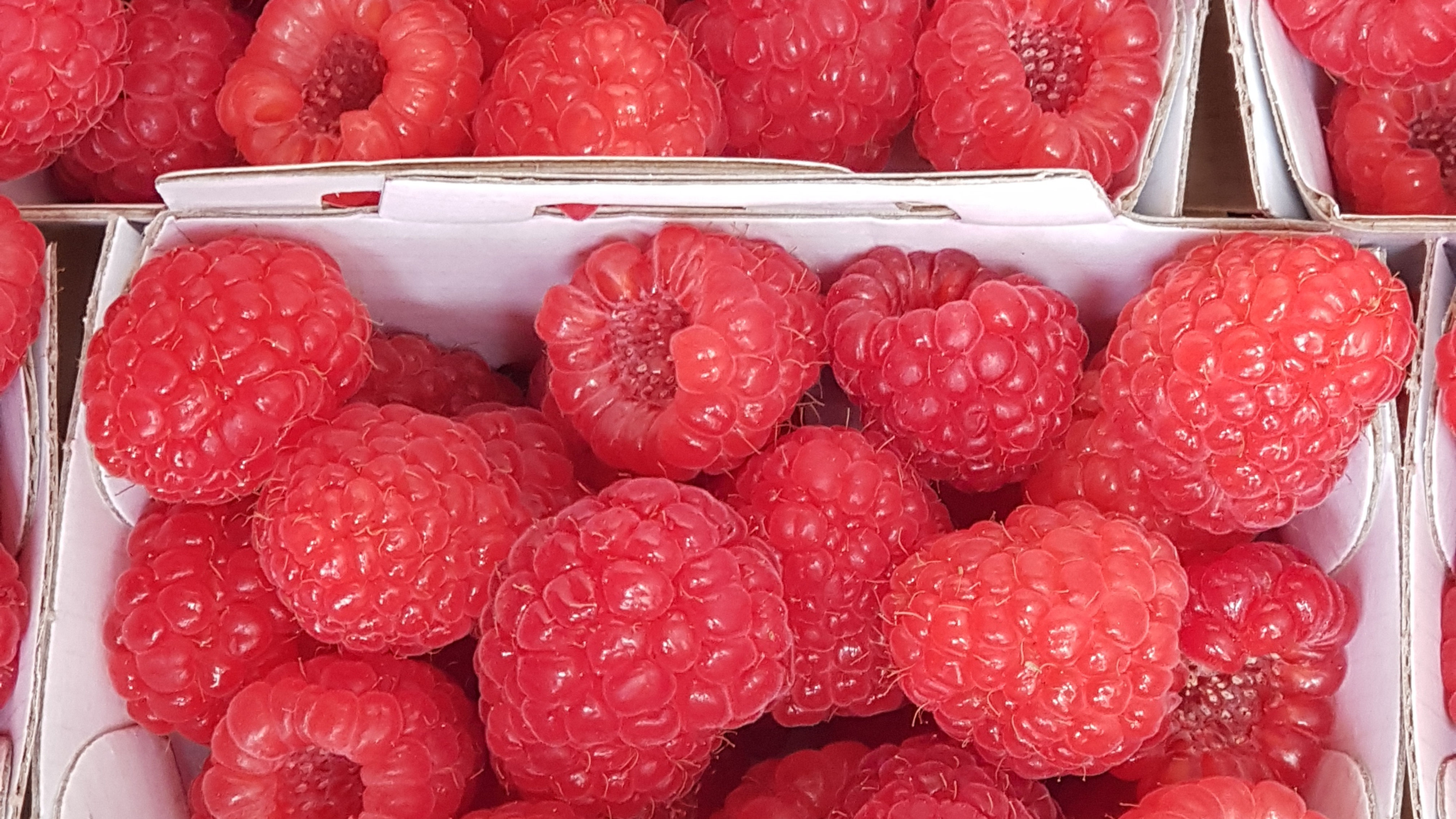 Framboises  barquette de 125gr