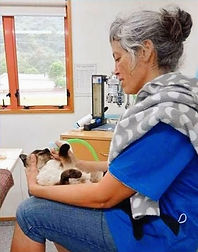 363562965_307254165095656_90464399629936