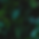 BACKGROUND (1).png