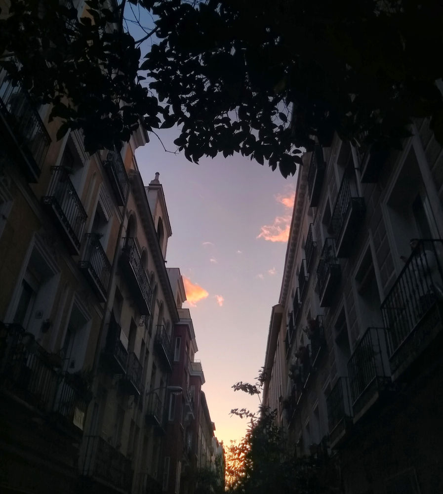 Madrid essay 08 image