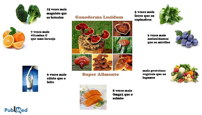 ganoderma lucidum reishi
