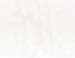 Fondo Papel.jpg