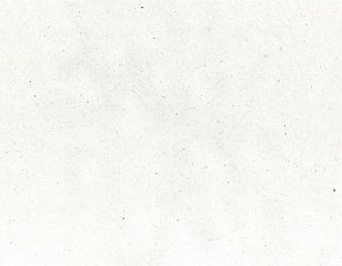 Fondo Papel.jpg
