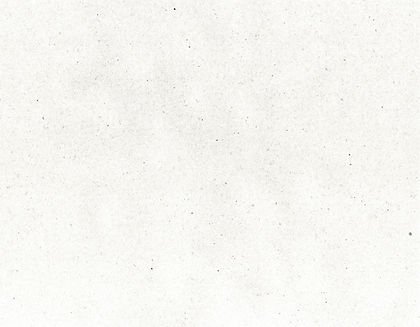 Fondo Papel.jpg