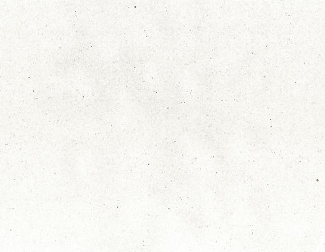 Fondo Papel.jpg