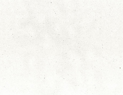 Fondo Papel.jpg