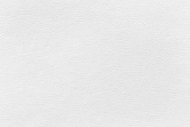 FONDO PAPEL PRO 7 2023.jpg