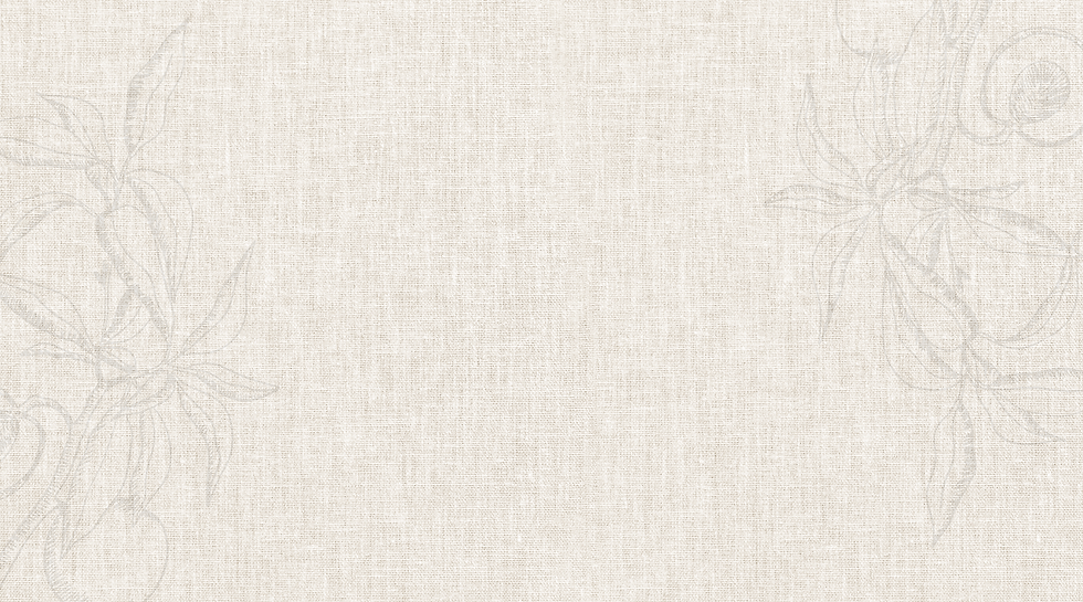 Captura de pantalla 2025-05-27 a la(s) 5.56.23 p.m..png