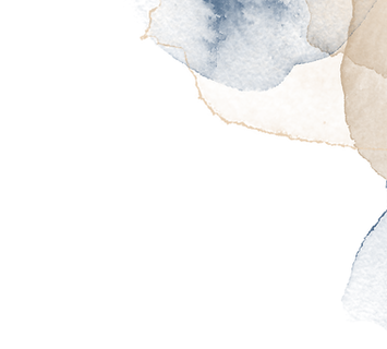 ORNAMENTO PRO 2 2.png