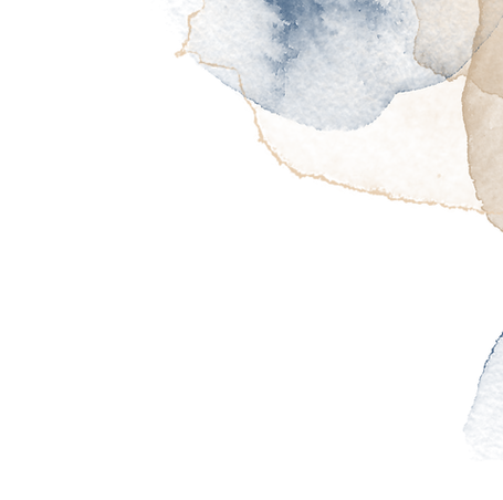 ORNAMENTO PRO 2 2.png