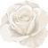 FLOR BLACA 3.png