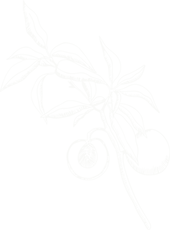 HOJA.png