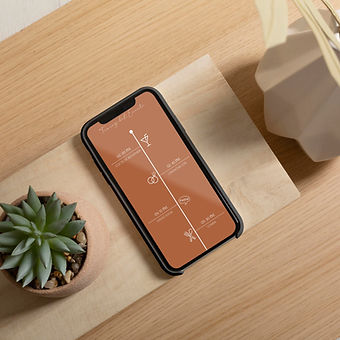 MOCKUP 1.jpg