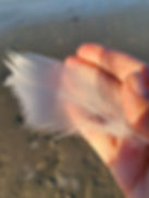 20211007_171347.jpg