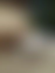 Kunstaus dem Kofferraum Markt 2016 - à Flamatt