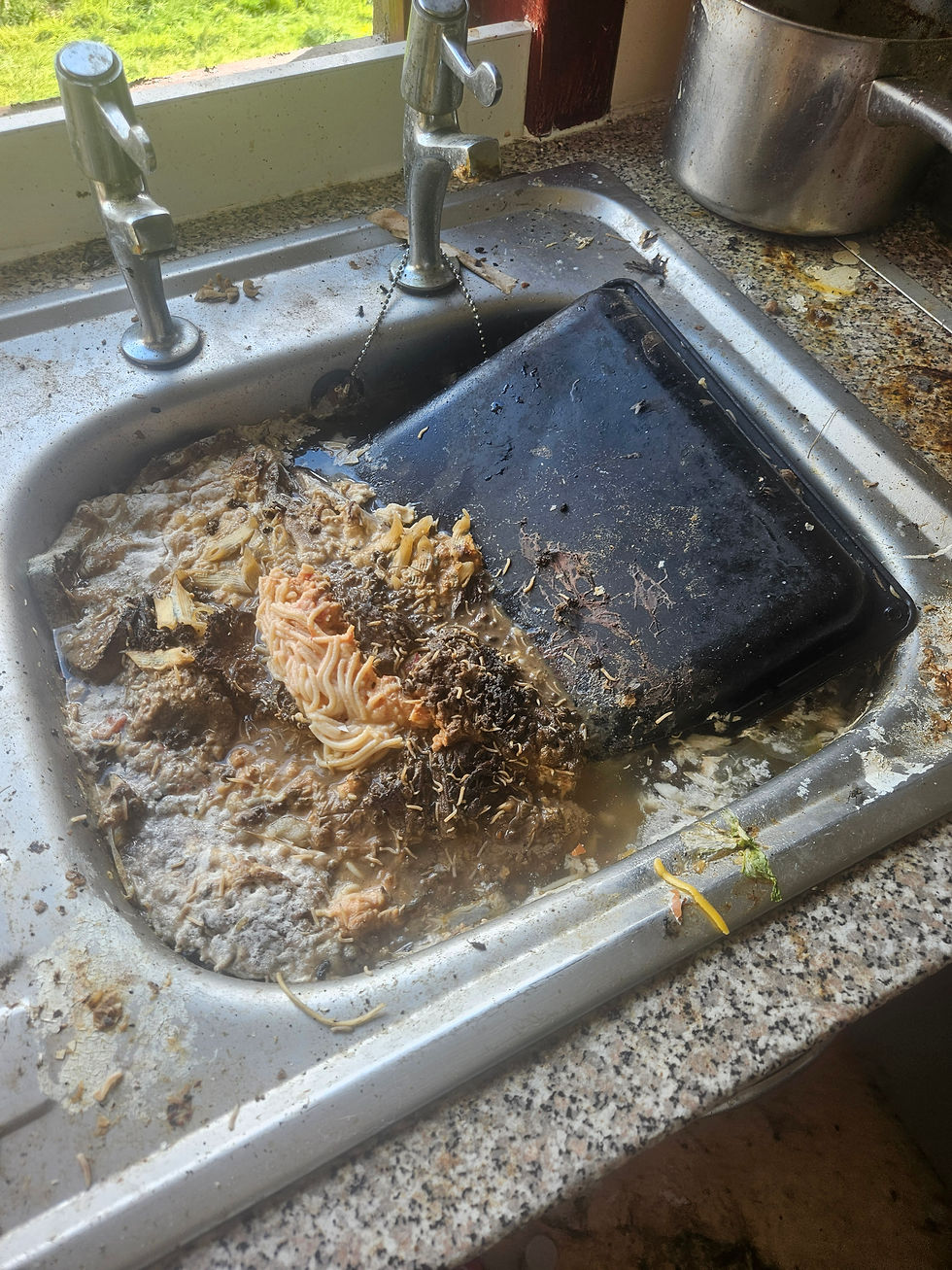 Sink with rotten food