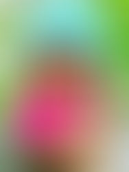 Judith Herman’s Three Stages of Trauma Recovery.