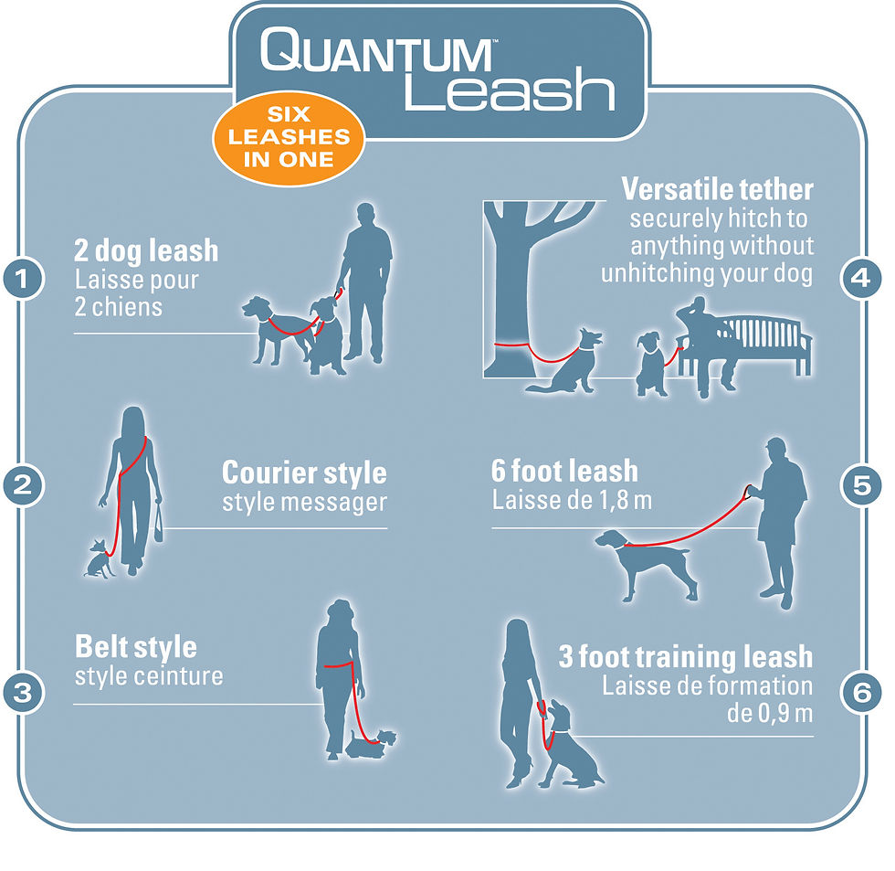 Thumbnail: Kurgo Quantum Leash